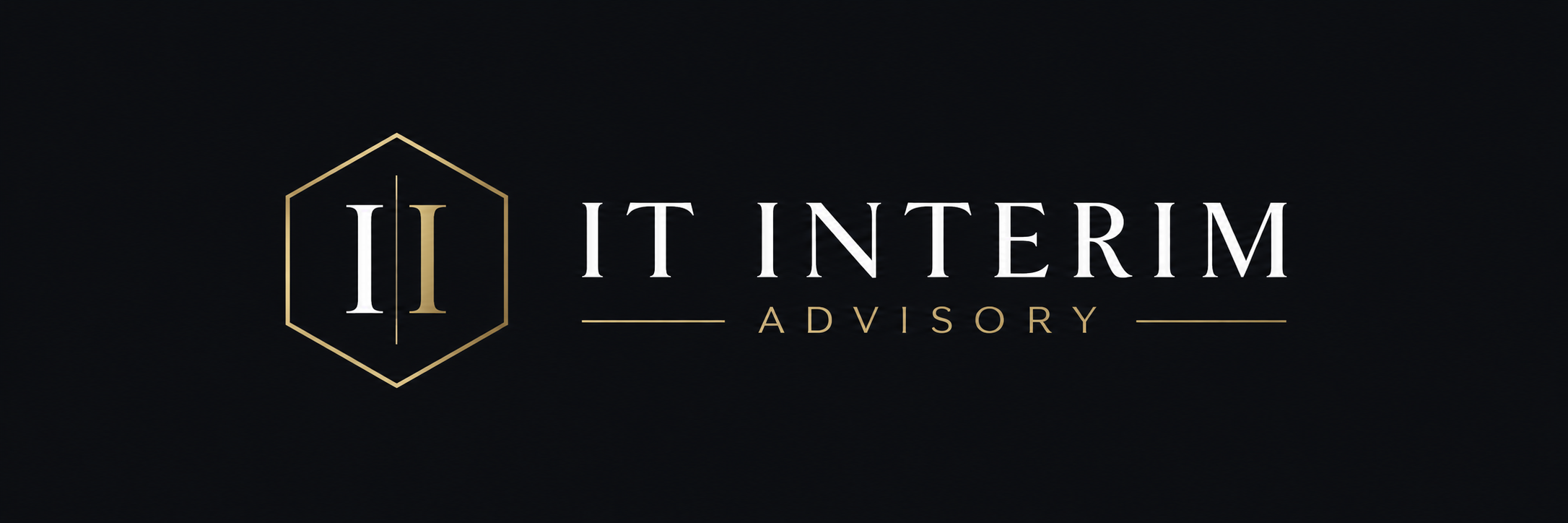 IT Interim Advisory